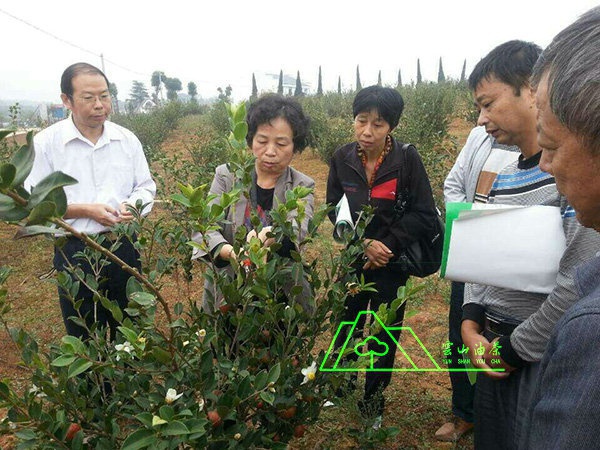 江西农业大学郭晓敏基地指导工作